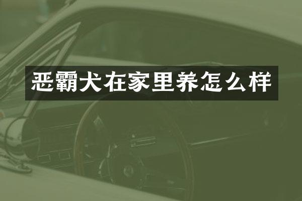 恶霸犬在家里养怎么样