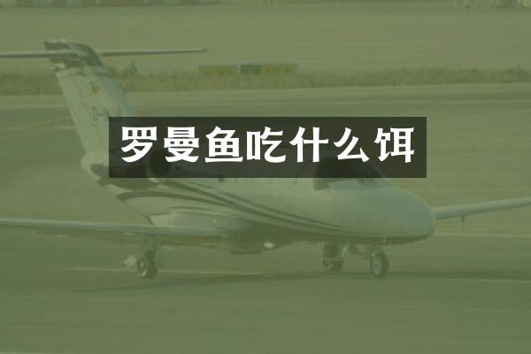 罗曼鱼吃什么饵