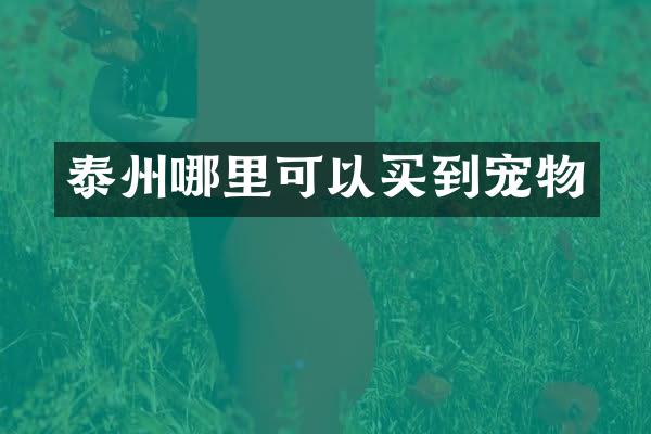 泰州哪里可以买到宠物