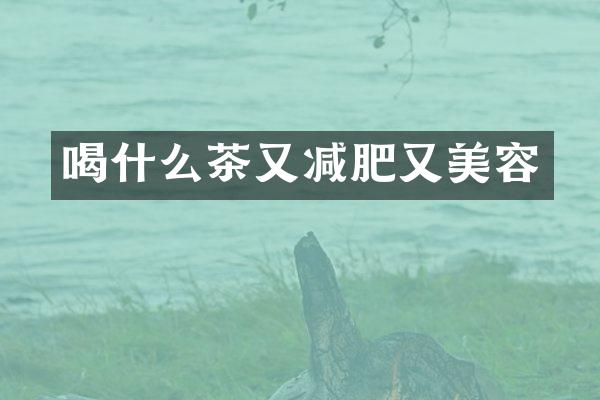 喝什么茶又减肥又美容