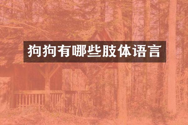 狗狗有哪些肢体语言