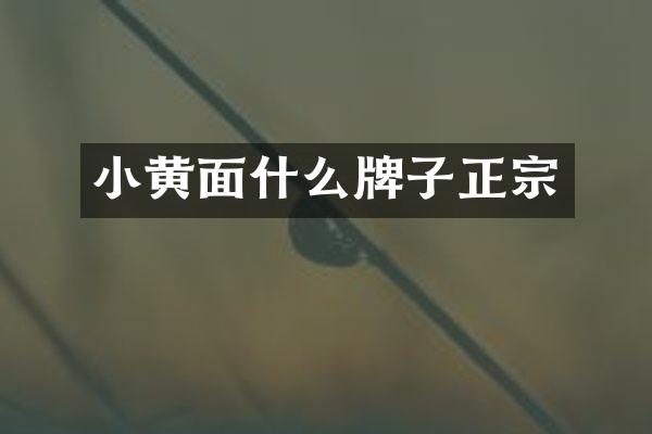 小黄面什么牌子正宗