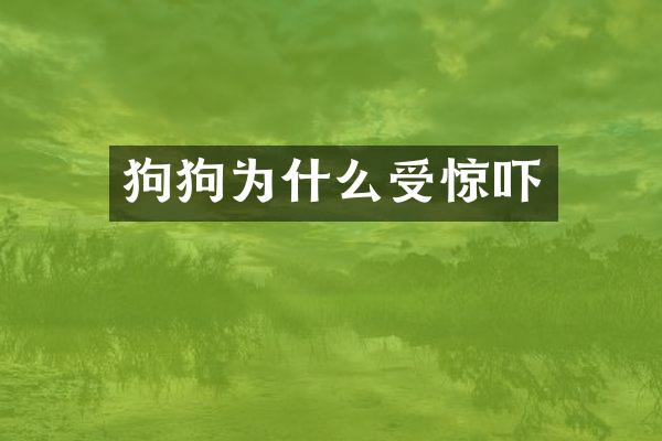 狗狗为什么受惊吓