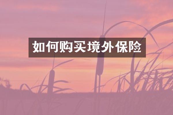 如何购买境外保险