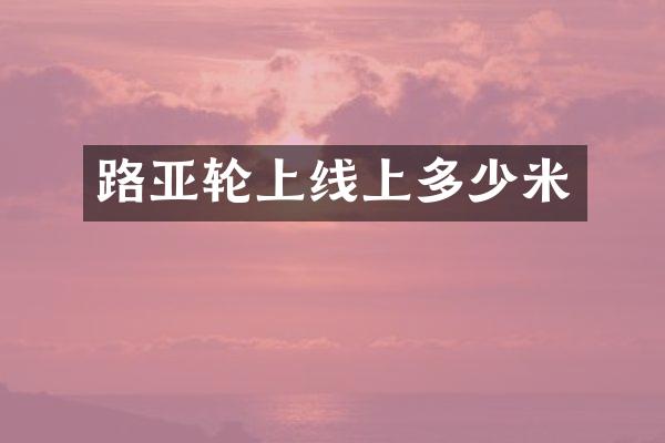 路亚轮上线上多少米