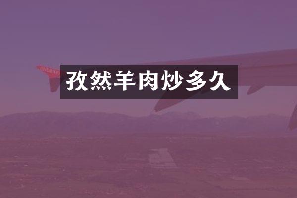 孜然羊肉炒多久