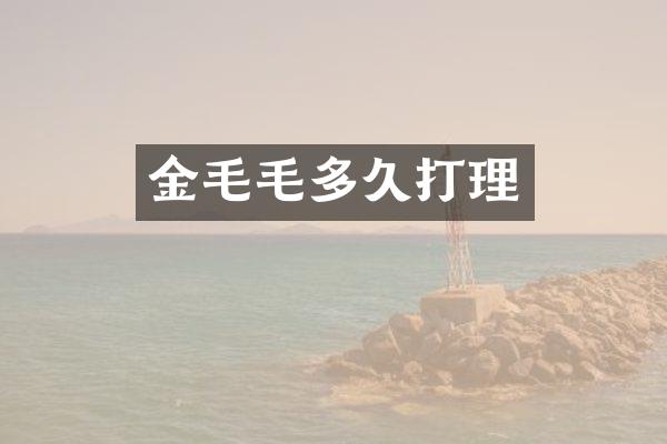 金毛毛多久打理