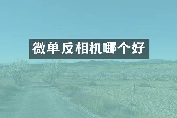 微单反相机哪个好