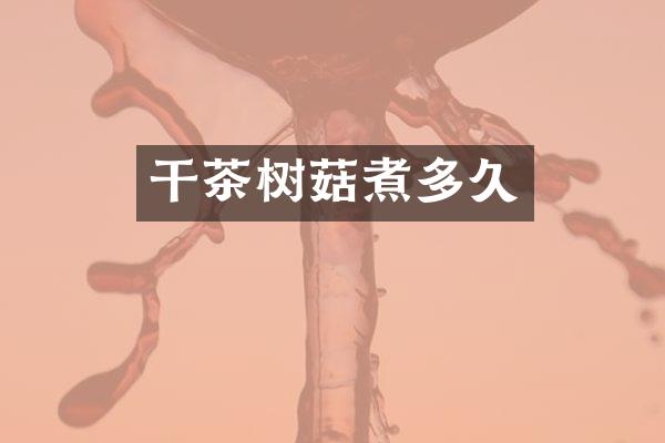 干茶树菇煮多久