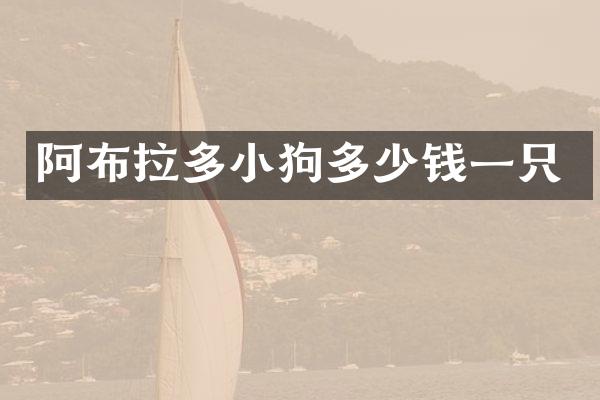 阿布拉多小狗多少钱一只