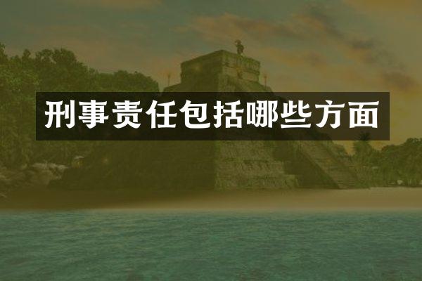 刑事责任包括哪些方面