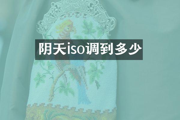 阴天iso调到多少