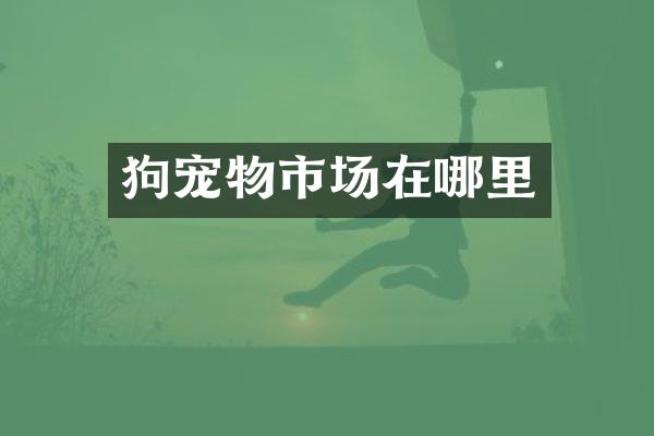 狗宠物市场在哪里