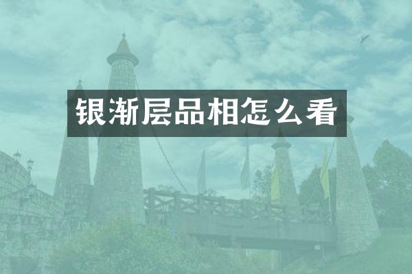 银渐层品相怎么看
