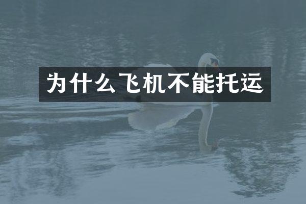 为什么飞机不能托运