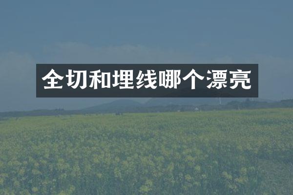 全切和埋线哪个漂亮