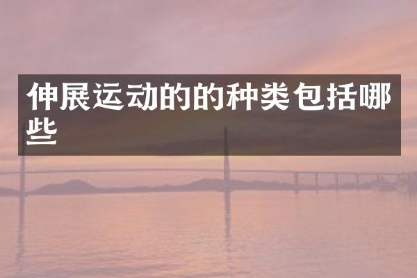 伸展运动的的种类包括哪些