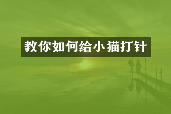 教你如何给小猫打针