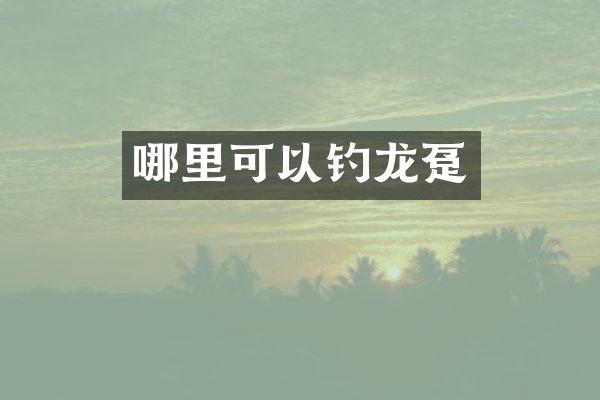 哪里可以钓龙趸