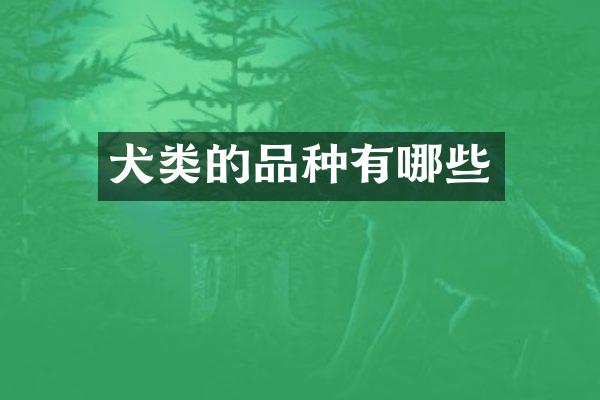 犬类的品种有哪些