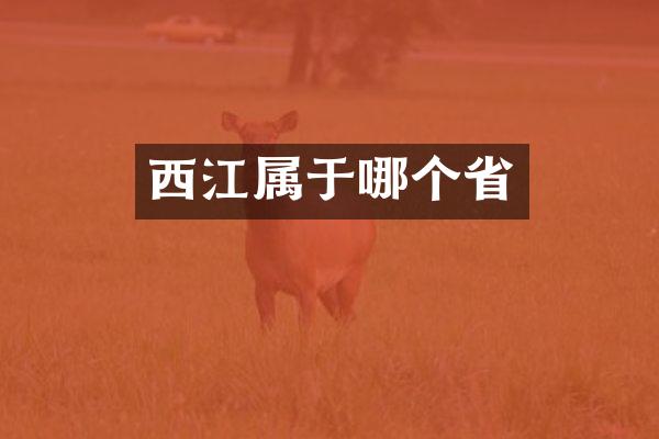 西江属于哪个省