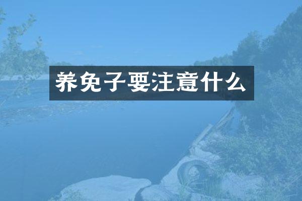 养免子要注意什么