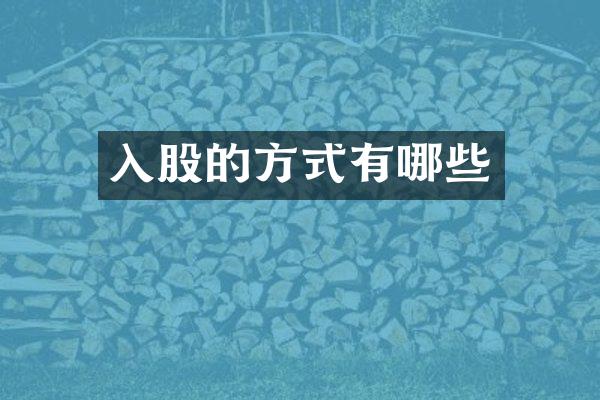 入股的方式有哪些