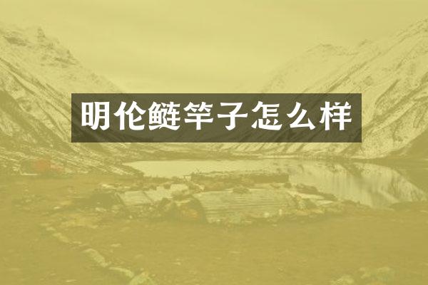 明伦鲢竿子怎么样