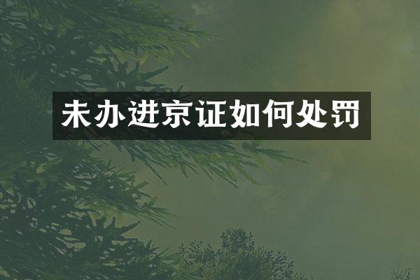 未办进京证如何处罚