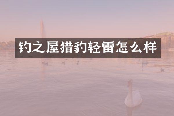 钓之屋猎豹轻雷怎么样