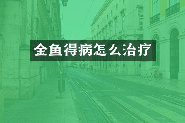 金鱼得病怎么治疗