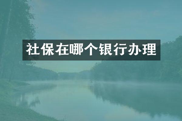 社保在哪个银行办理