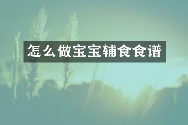怎么做宝宝辅食食谱