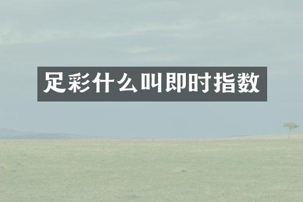 足彩什么叫即时指数