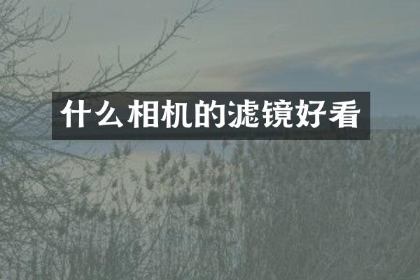 什么相机的滤镜好看