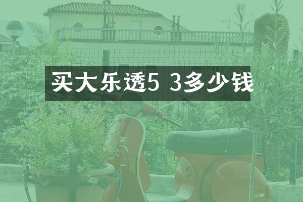 买大乐透5 3多少钱