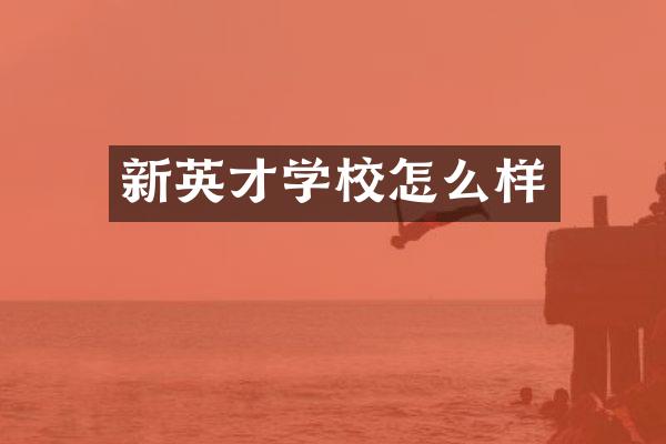 新英才学校怎么样
