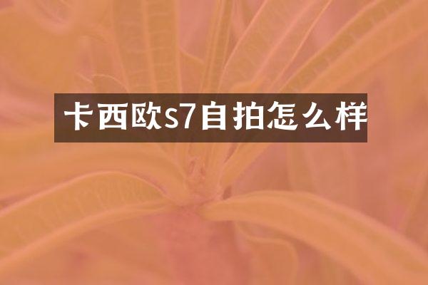 卡西欧s7自拍怎么样
