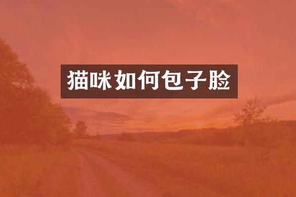 猫咪如何包子脸