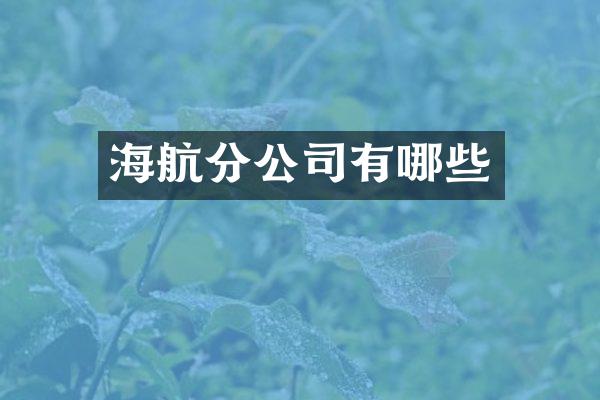 海航分公司有哪些