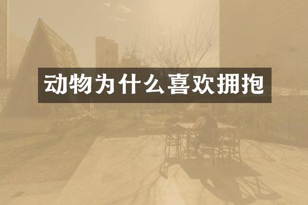 动物为什么喜欢拥抱