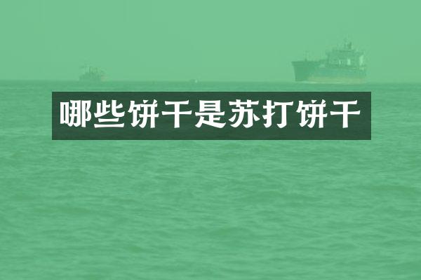 哪些饼干是苏打饼干