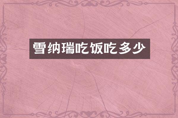 雪纳瑞吃饭吃多少