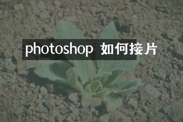 photoshop 如何接片