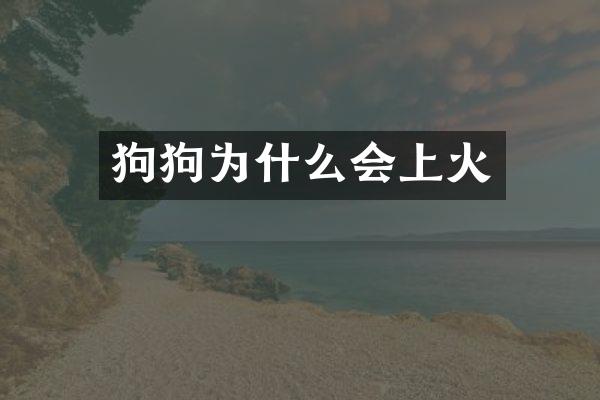 狗狗为什么会上火