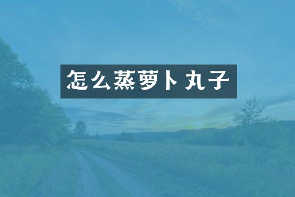 怎么蒸萝卜丸子