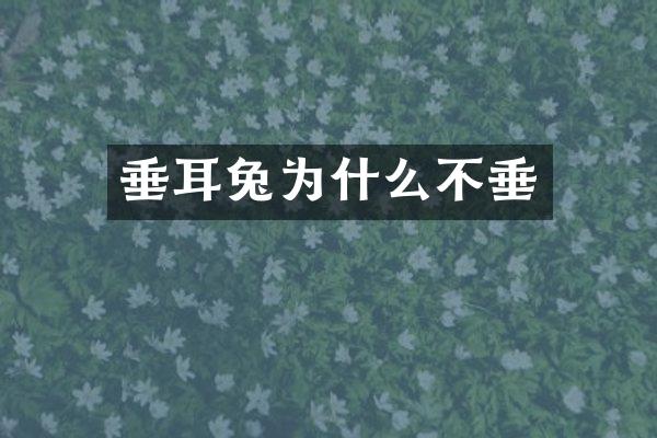 垂耳兔为什么不垂