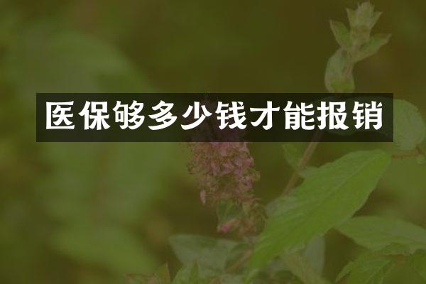 医保够多少钱才能报销