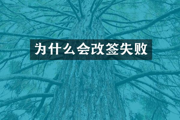 为什么会改签失败