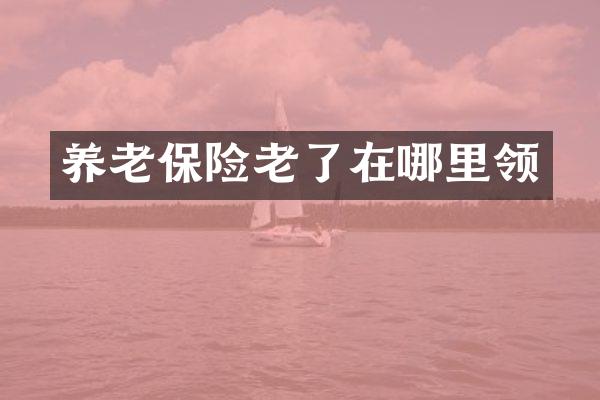 养老保险老了在哪里领